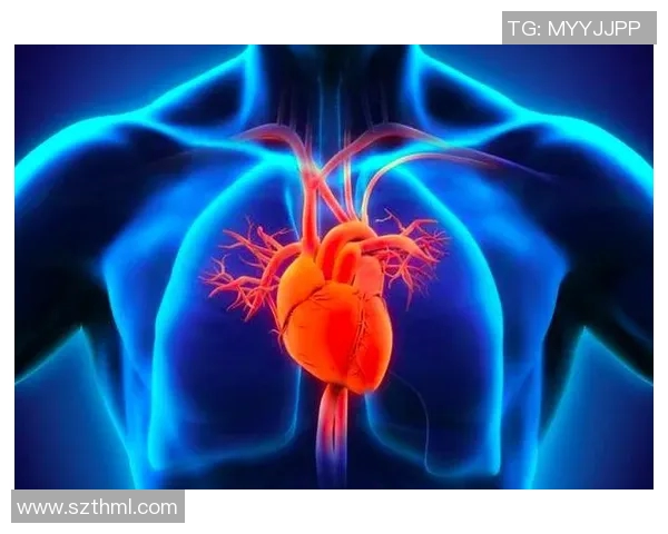 提升身体素质与心肺功能 从游泳健身开始打造健康人生 提升身体素质与心肺功能 从游泳健身开始打造健康人生