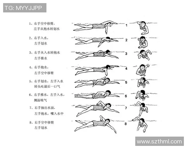自由泳技巧提升全攻略从基础动作到高效训练的全面解析
